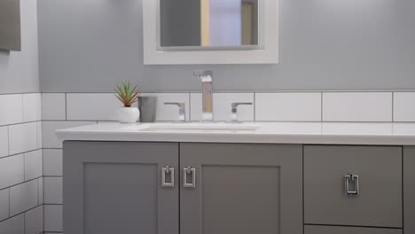 Lavabo-Moderno-Blanco-Y-Gris-Con-Una-Planta-En-Un-Condominio-De-Baño