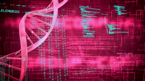 dna double helix and digital codes