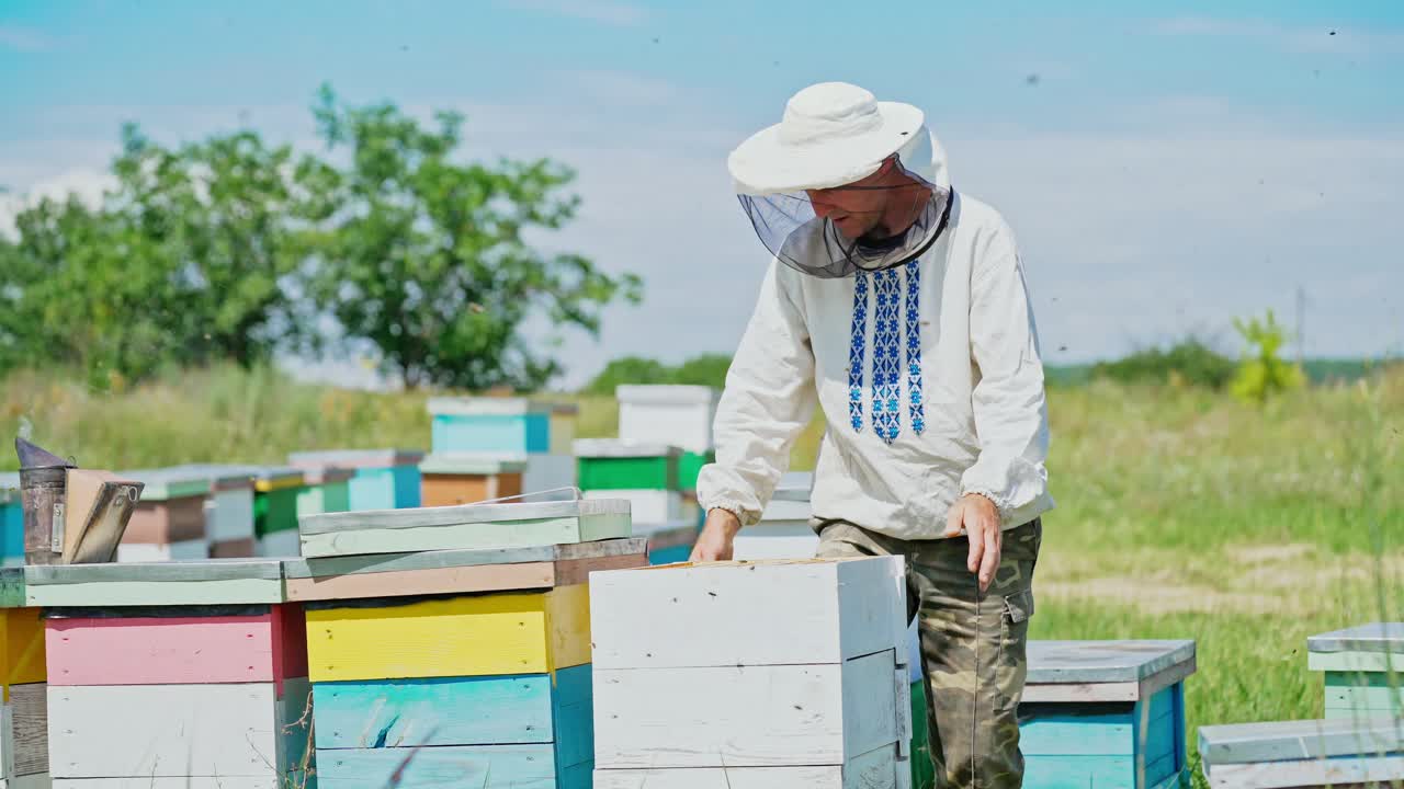 a beekeeper in protective clothing holds a frame with honeycombs for bees in the garden in the summer
