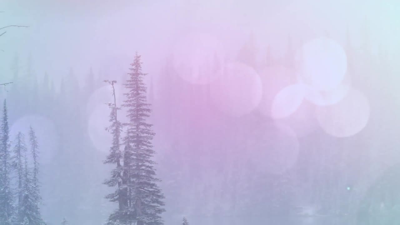 겨울 풍경 위에 빛나는 반점의 애니메이션