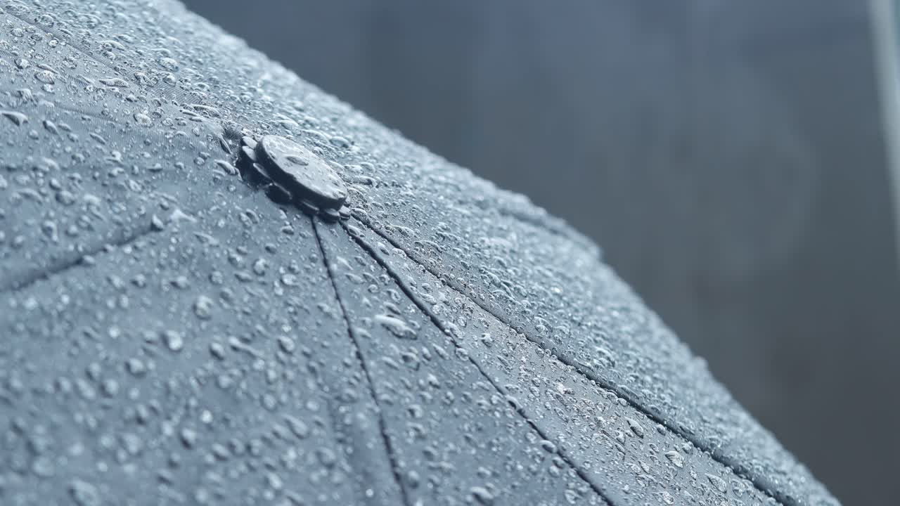 Nærbilde av en svart paraply i regnet