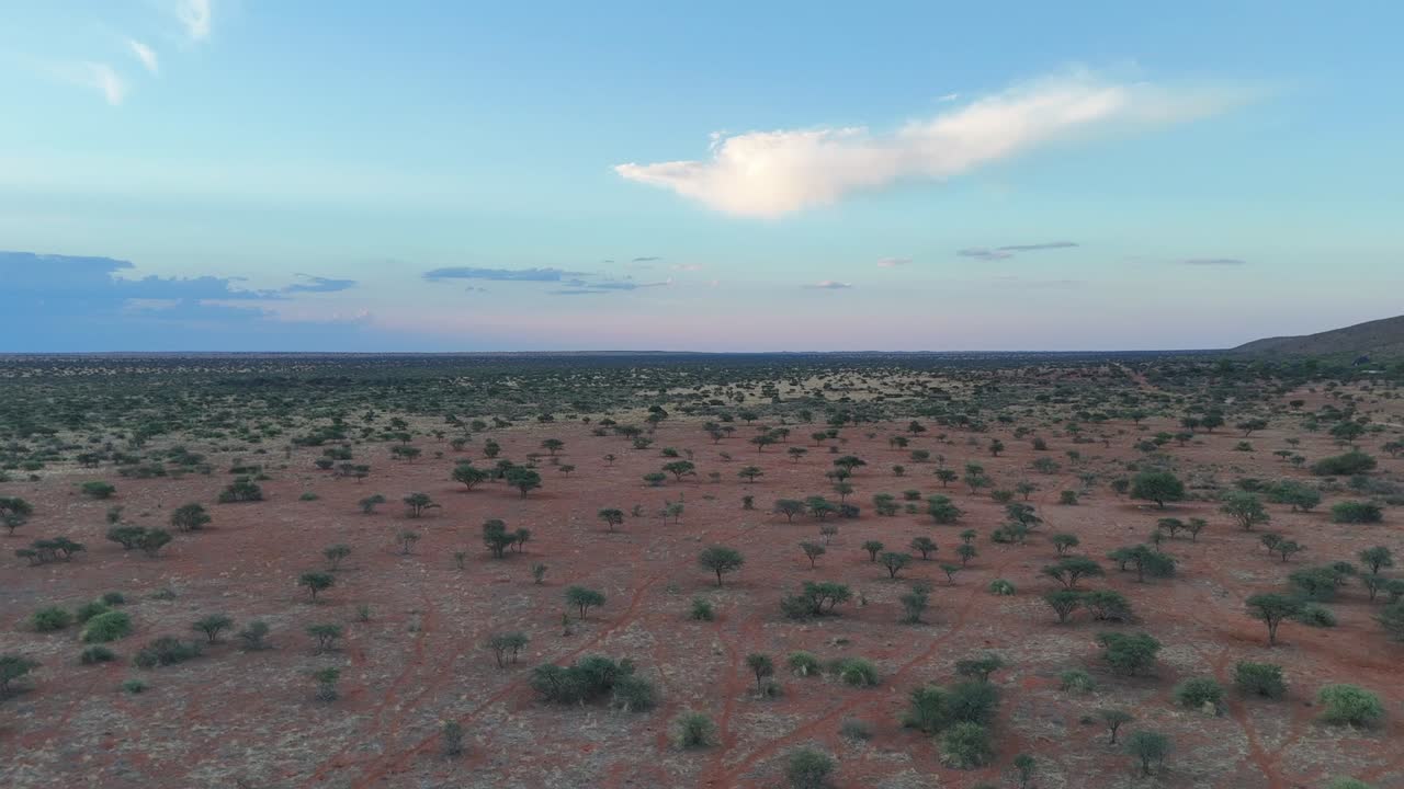 tomada panorámica de un avión no tripulado volando sobre el semiárido bosque del sur de kalahari