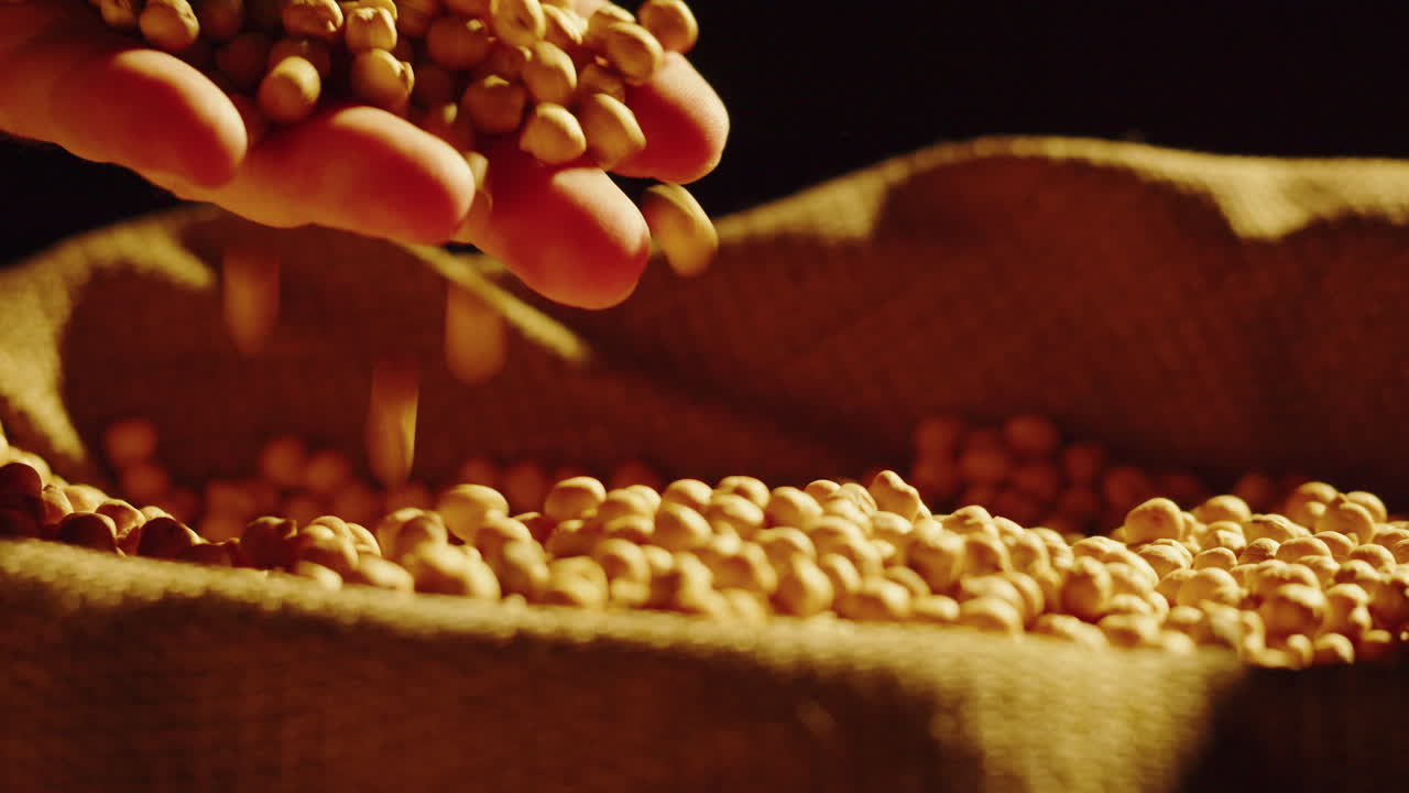 Hand Pouring Chickpeas into a Burlap Sack