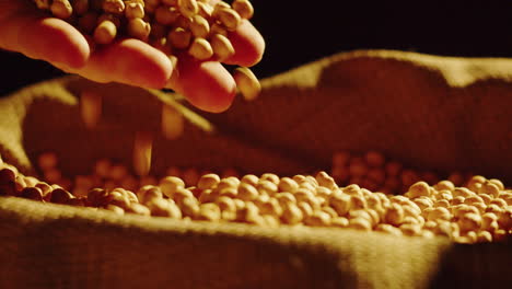 hand pouring chickpeas into a burlap sack