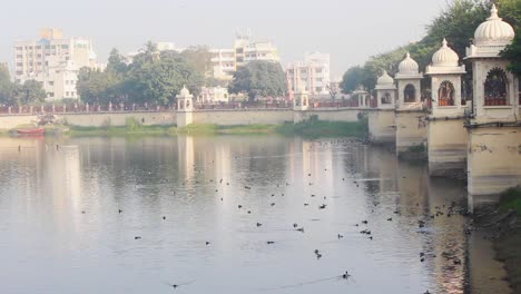 hermoso lago en una ciudad con pájaros temprano en la mañana escena i hermoso lago almacen de video