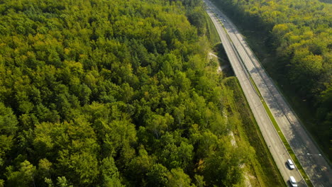 aerial view of freeway with large green woods on the sides of the lanes