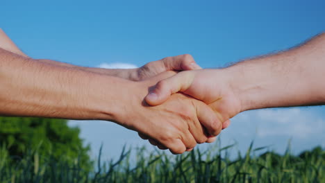Two Farmers Shake Hands Against The Background Of A Green Wheat Field Deal In Agribusiness Concept 4