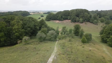 Wanderweg-Auf-Einem-Kleinen-Hügel-Mit-Wald