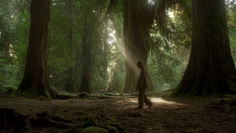 person walking through a sunlit, ancient forest
