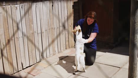 dog in a shelter with volunteer