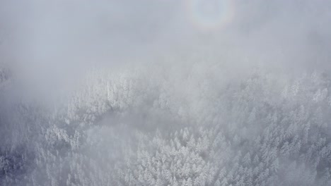 aerial shot of snow-covered bucegi mountains with misty gloria phenomenon