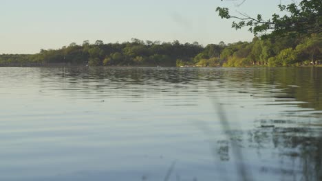 Fokuswechsel-Von-Der-Pflanze-Zum-Ruhigen-Fluss-In-Den-Grünen-Bergen-Von-Cordoba,-Argentinien-Während-Des-Sonnenuntergangs