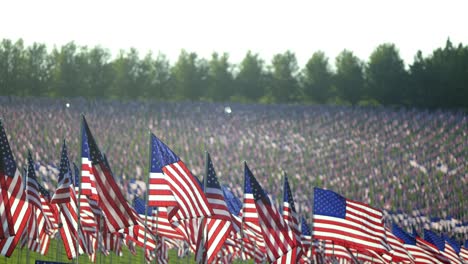 hundreds of waving united states flags fill large field on memorial day