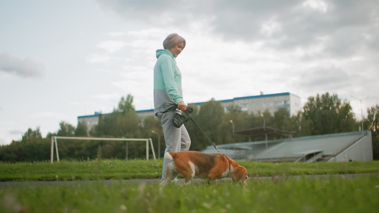 Dog trainer walking energetic dog on leash through open grassy park field during cloudy day, dog sniffing ground happily while urban buildings and trees form serene backdrop for outdoor exercise