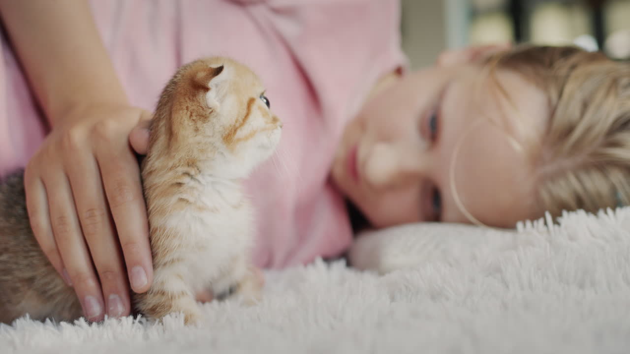 The child plays with a ginger kitten, lies on the floor next to the pet