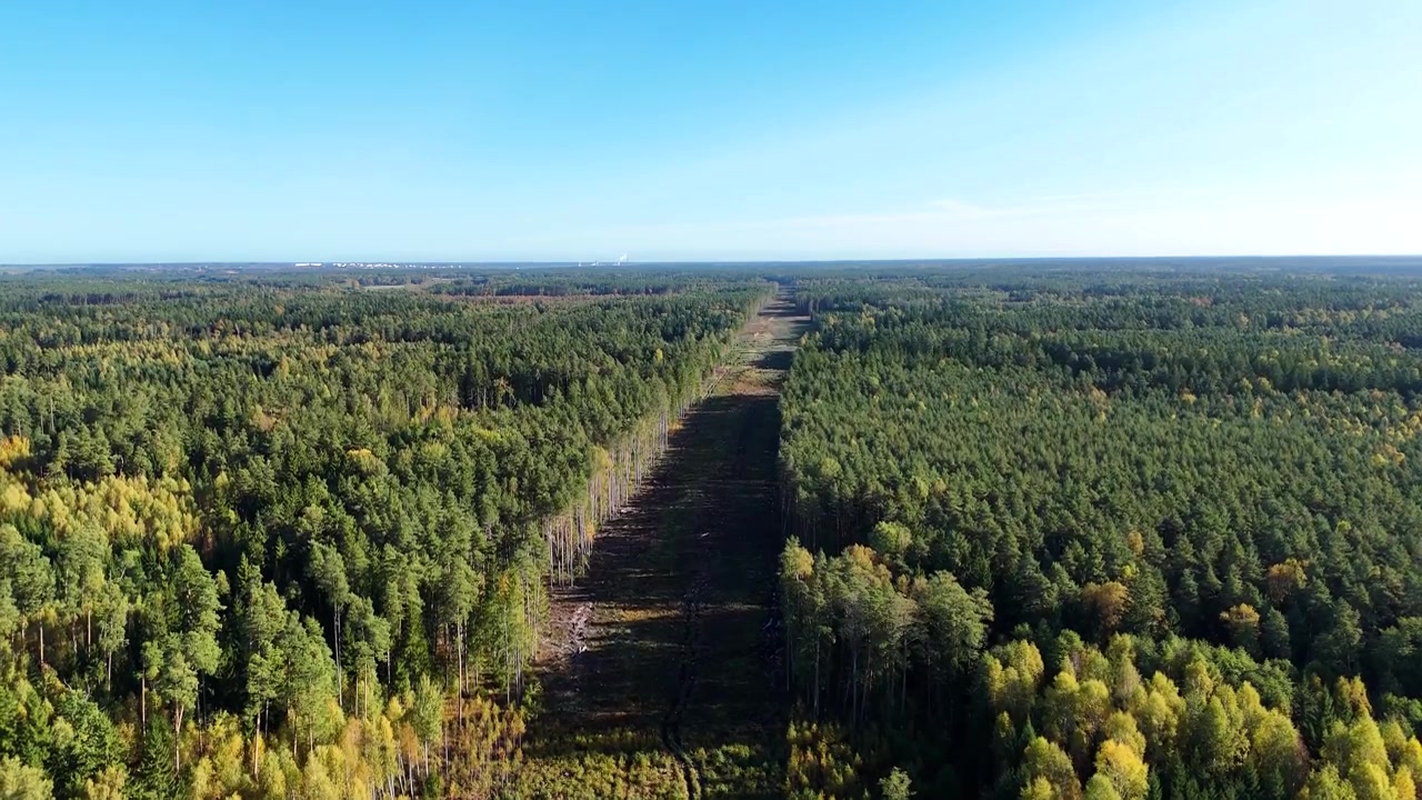 Aerial view revealing clear-cut areas in a forest, illustrating deforestation linked to construction of the rail baltica railway line in Estonia Latvia and Lithuania, emphasizing environmental impact