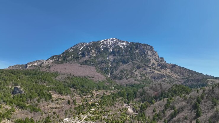 Montagna con vetta innevata e colline con alberi e foresta nelle vicinanze.