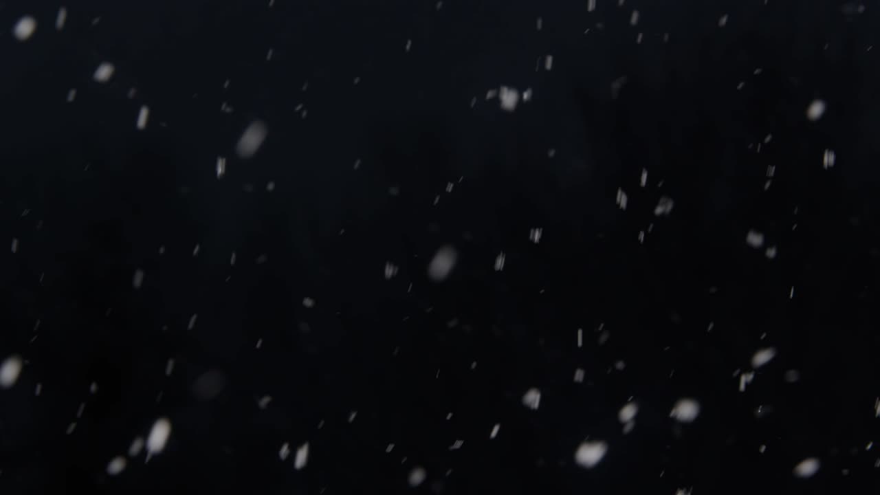 Premium Stock Video Slow Motion Snowfall In A Blizzard On A Cold And