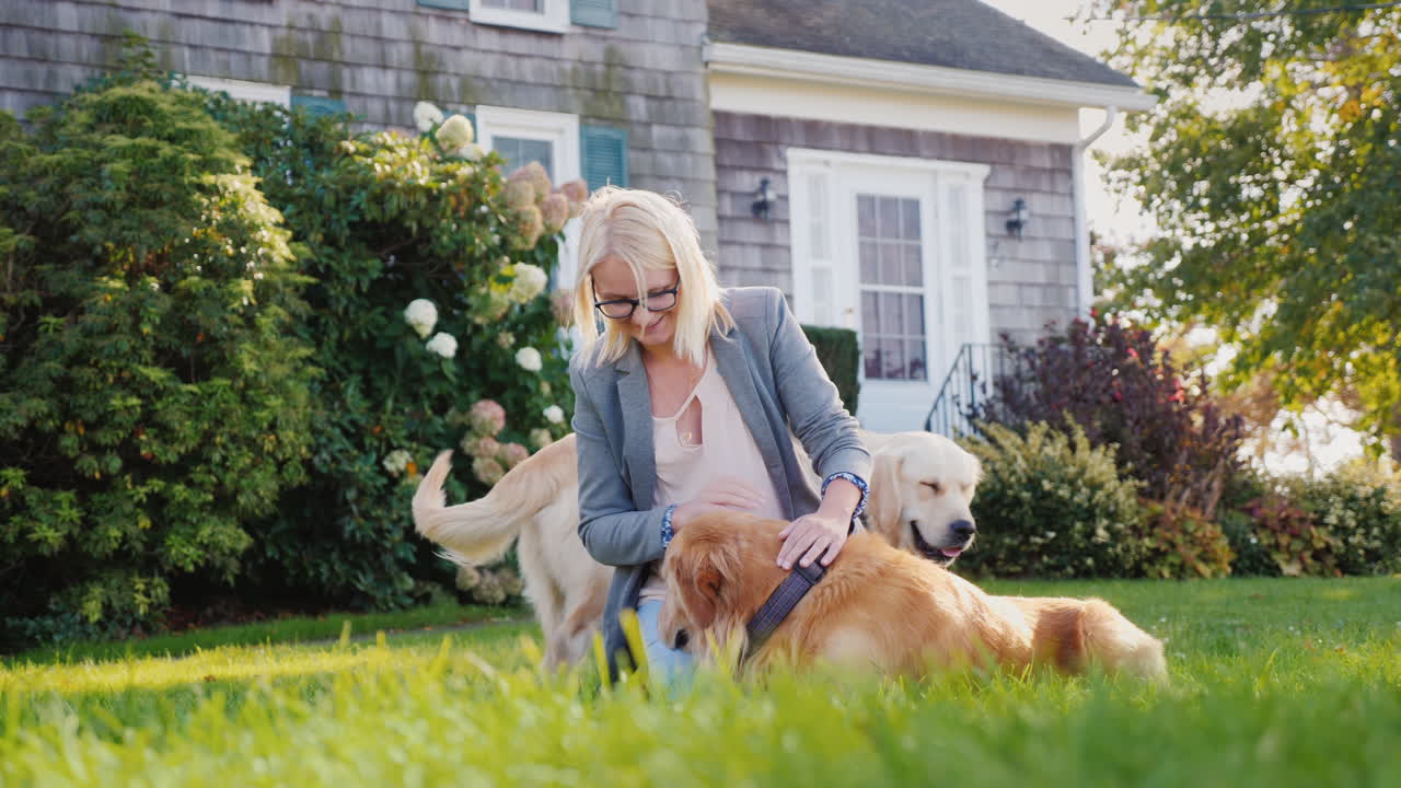 여자는 골든 리트리버와 함께 재생