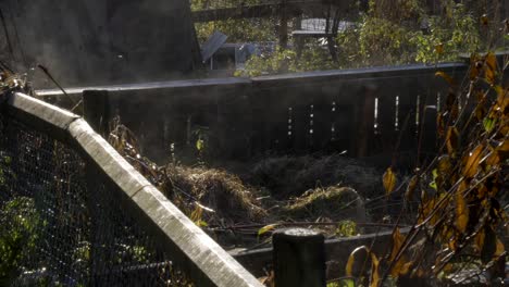 cerrar pan de jardines comunitarios en una mañana fría y humeante