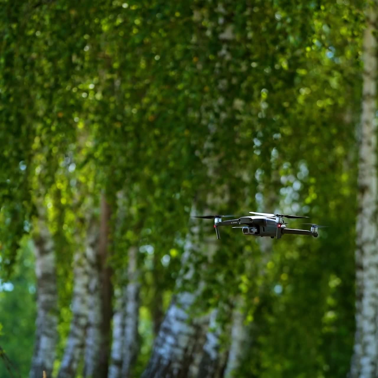 Drone among nature in summer. Drone is flying on green birch trees background. Close-up.