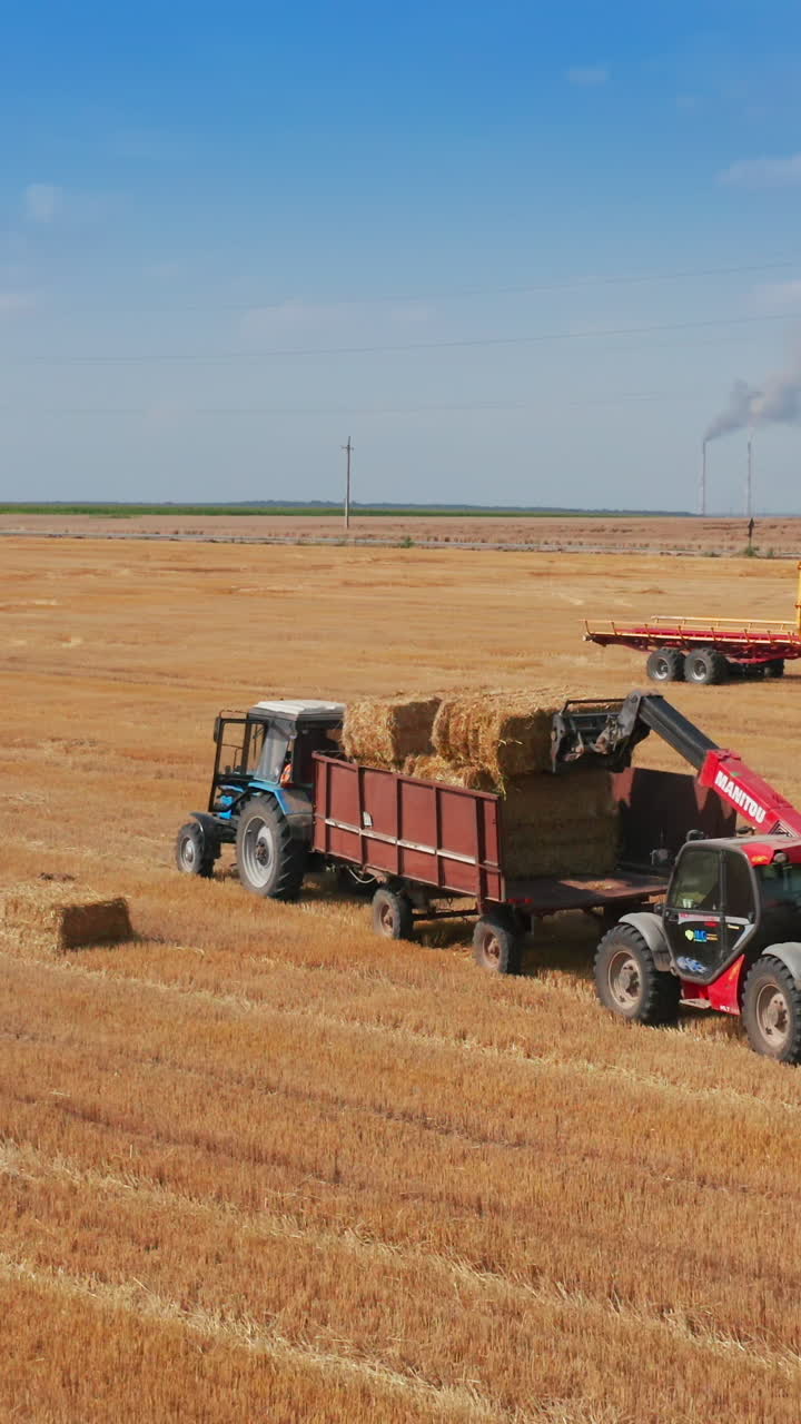 Modern skid steer loader puts straw bales on the tractor machine. Harvesting season in the wheat field. Agricultural vehicle at backdrop. Vertical video
