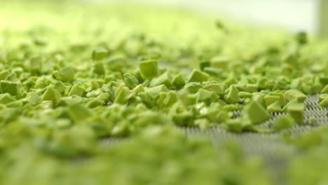 slow motion avocado cubes on a conveyor belt