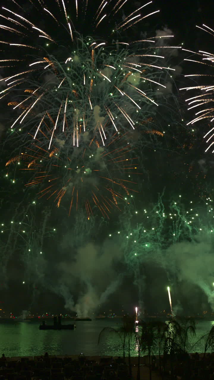 Fireworks on the sky at the Cannes Fireworks Festival at night. Vertical