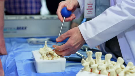 pedagogue shows and explains the usage of the medical instrument. man in white robe points at the spine model.