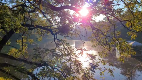 sunrise-by-the-river-in-wrockla