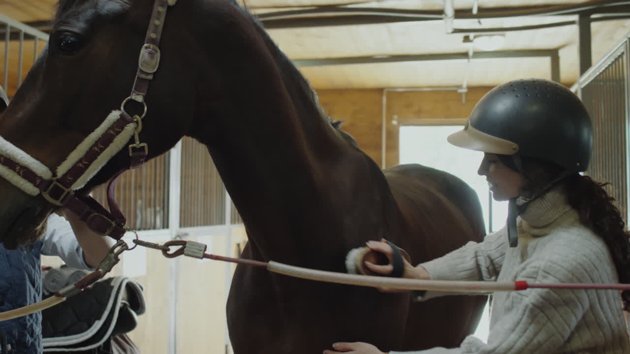 Women grooming a horse in a stable