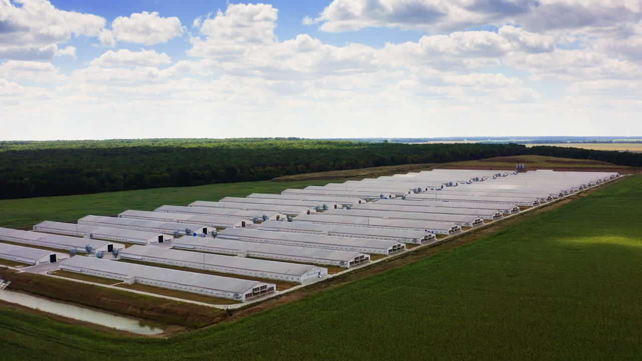 White farmhouses in farmland. Modern farm buildings on the green field. Agricultural complex surrounded by beautiful nature. Aerial view.