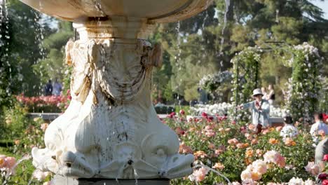 woman taking a picture of a beautiful fountain in a park. capturing the serene moment in a natural setting.