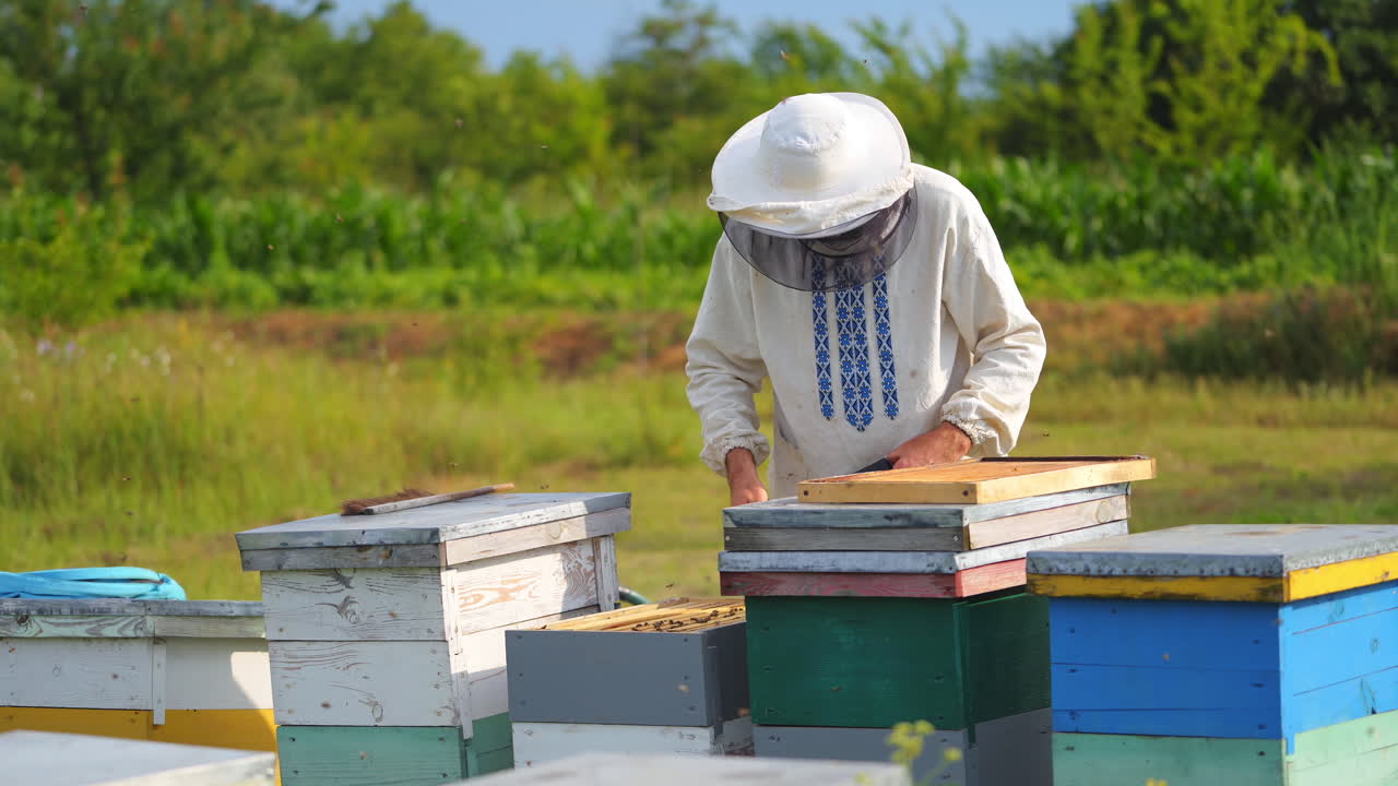 Beekeeper collects honey at apiary. Man dressed in protective white uniform. Summer garden background. Apiary on fresh air.