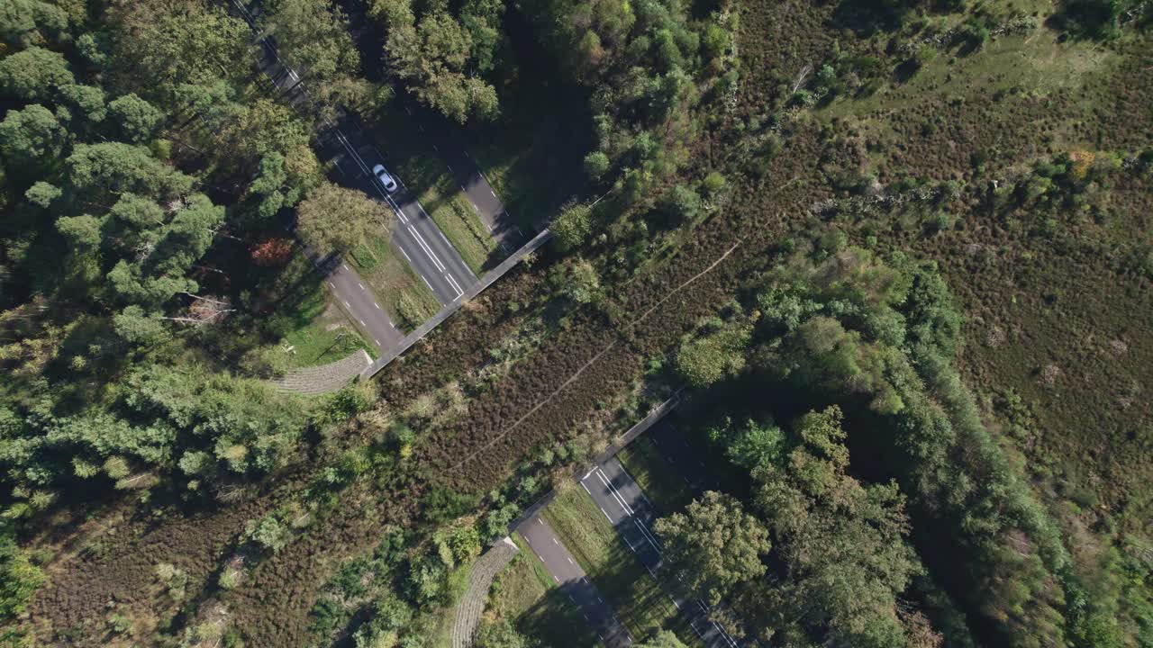 Slow steady topd down aerial wildlife crossing Twilhaar near Nijverdal forming a safe natural corridor bridge for animals with cars passing by underneath