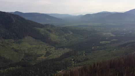 Folgen-Von-Waldbränden-Und-Erneutes-Waldwachstum-In-Britisch-Kolumbien