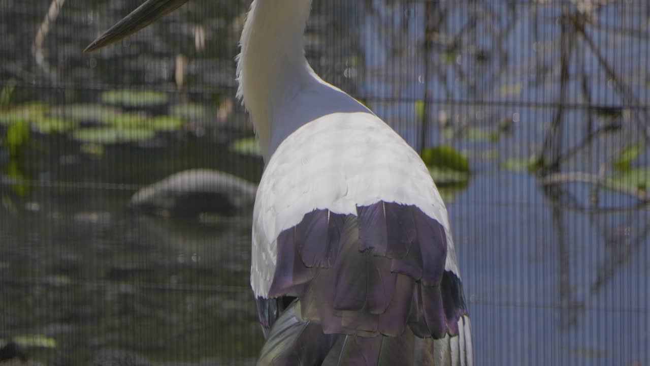 도쿄 최고의 전망