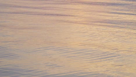 beautiful water of sunset reflected in water.