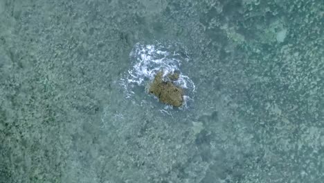 Top-Down-Slow-Motion-Rotating-Drone-View-of-Waves-crashing-over-shallow-coral-reef-and-big-rock-in-Uluwatu-Bali-Indonesia