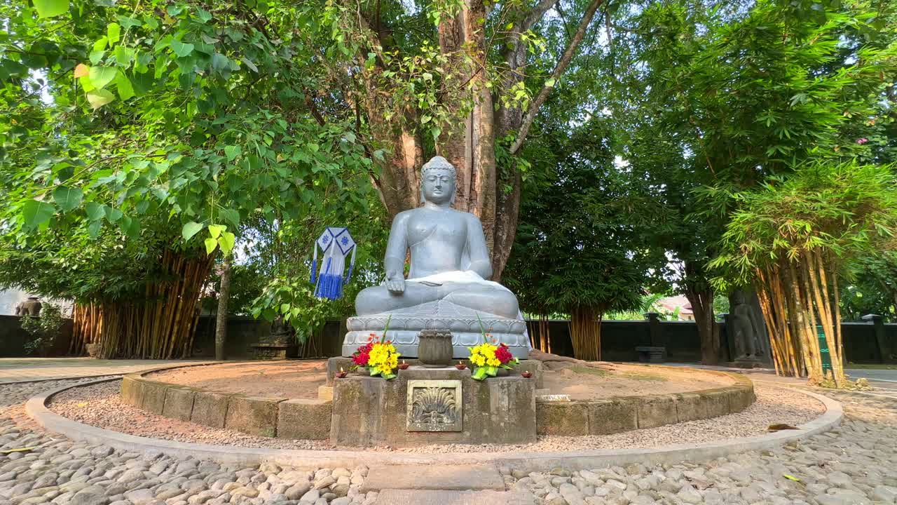 estatua de buda en un pedestal bajo un árbol en mendut