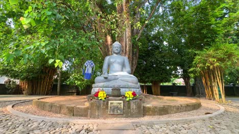 buddha statue on a pedestal under a tree in mendut