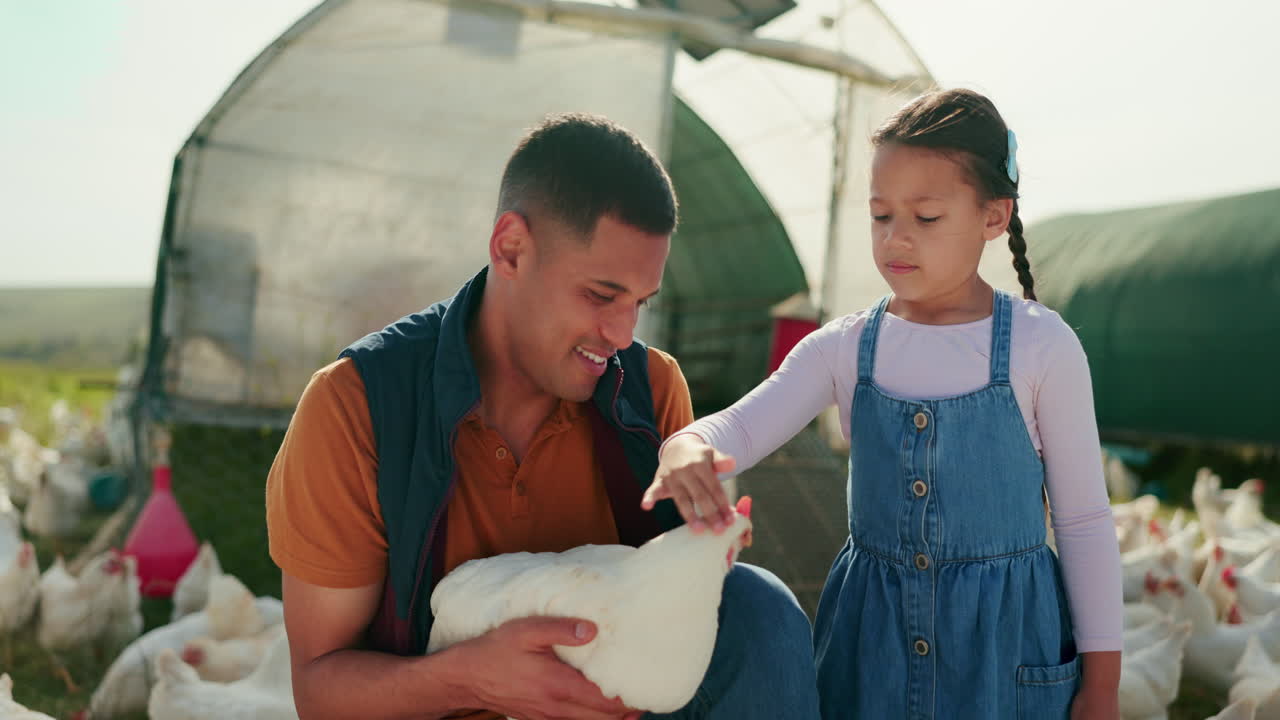 agricultura, granja y chica con pollo
