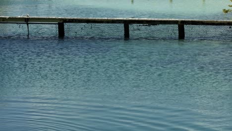 slow motion tilt up shot of revealing a beautiful caribbean island covered in raised wooden walkways over the water and many tourists enjoying a beautiful tropical bahama beach on a cloudy fall day