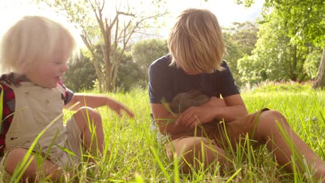 siblings tenderly taking care of a bunny at the park