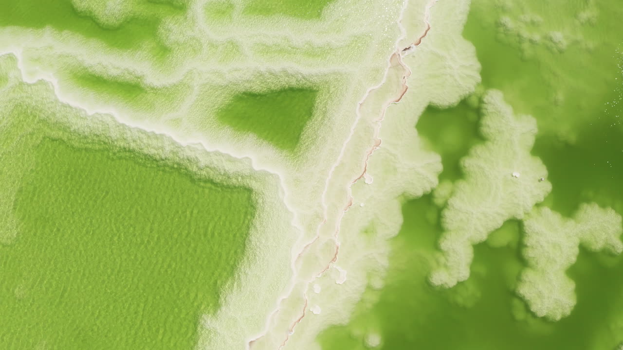 녹색 소금 호수, 자연 호수 배경.