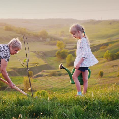 Oma-Und-Enkelin-Pflanzen-Gemeinsam-Einen-Baum