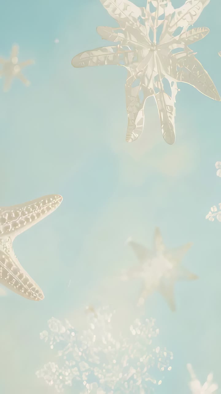 Vertical video: Soft breeze nudging large starfish drifting to center in studio, showing snowflakes