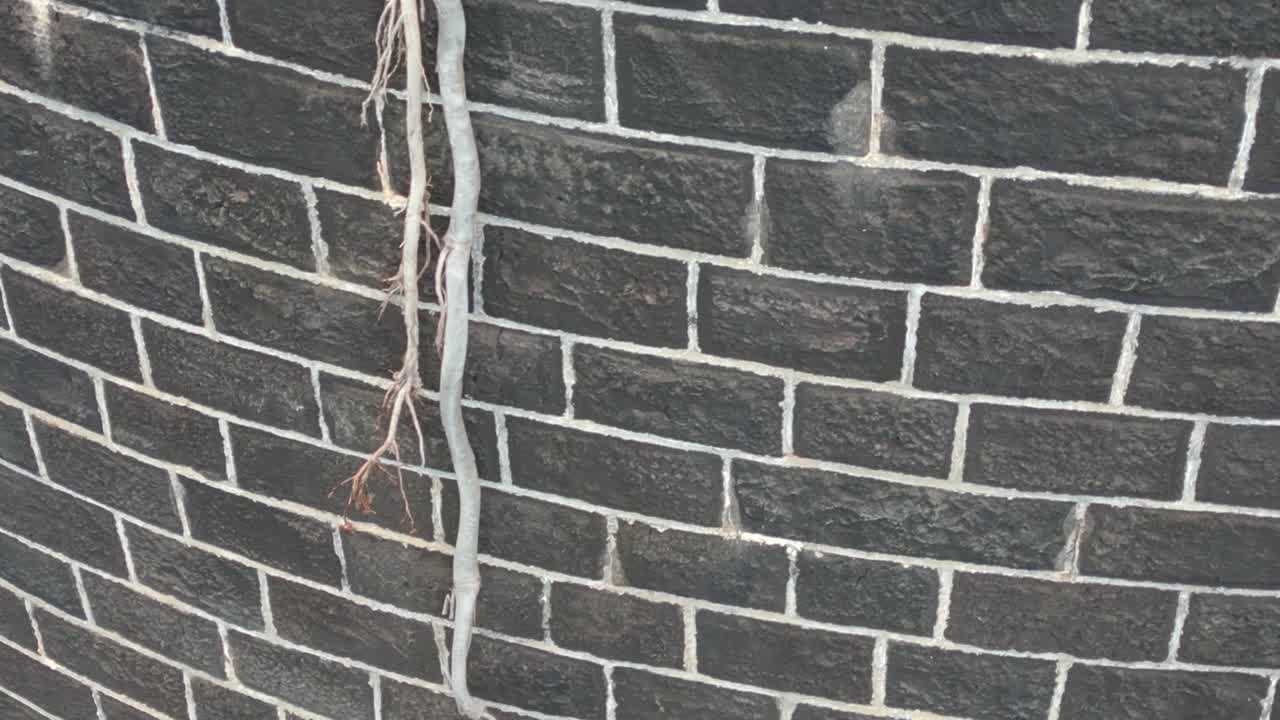 Mauritius - Riviere Noire - Descending fast close view on Martelo Tower