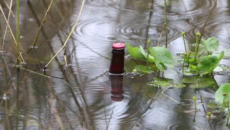 Discarded-bottle-floating-in-pond.-England.-UK