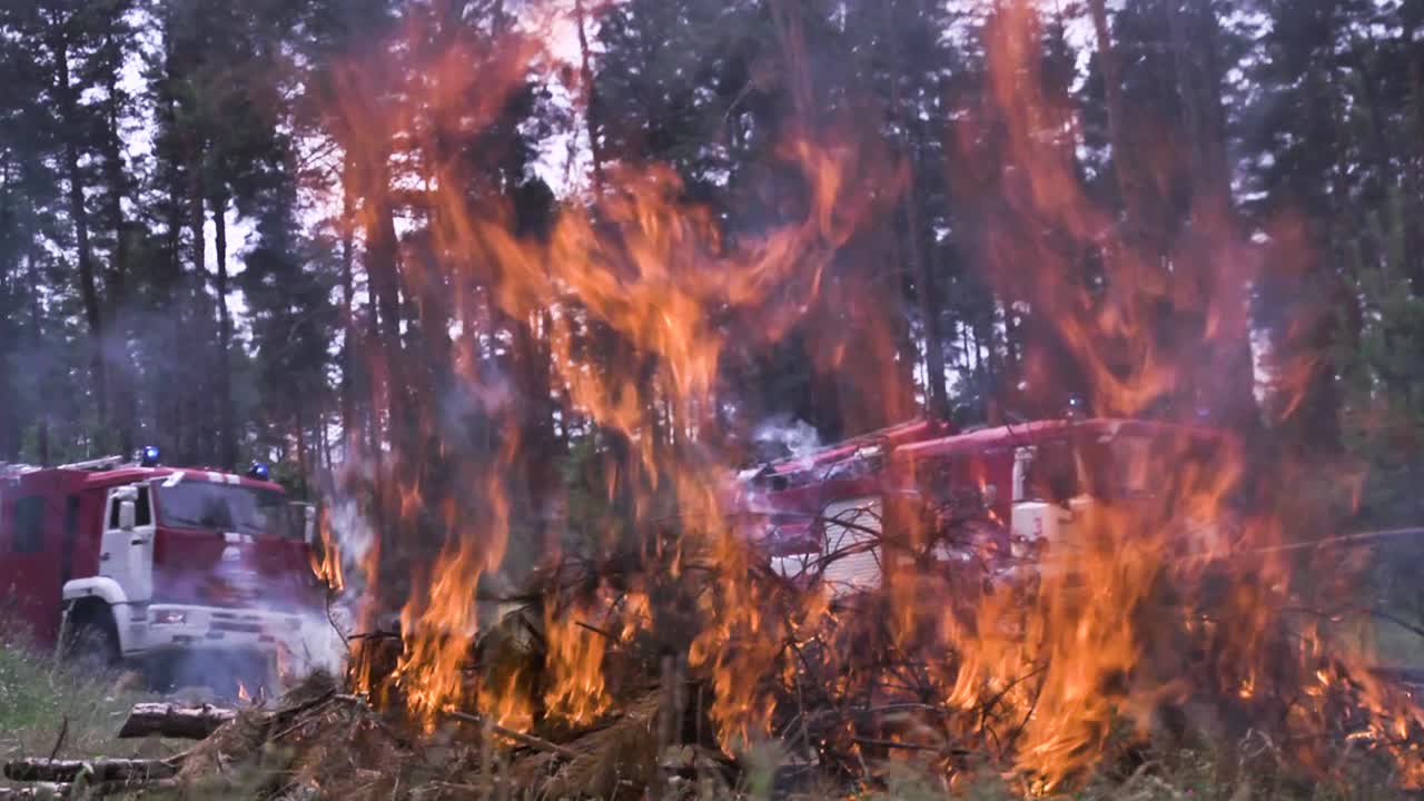 respuesta a los incendios forestales